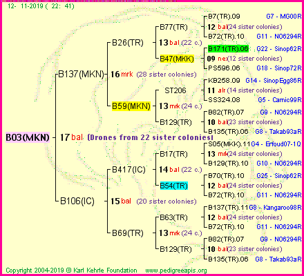 Pedigree of B03(MKN) :
four generations presented
it's temporarily unavailable, sorry!