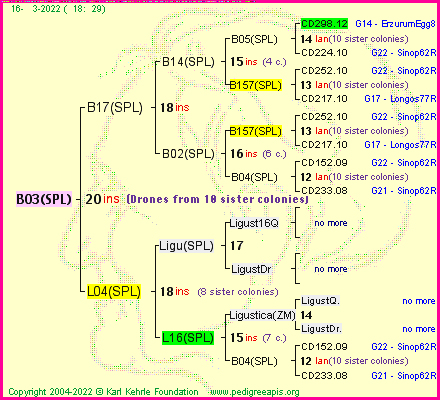 Pedigree of B03(SPL) :
four generations presented
it's temporarily unavailable, sorry!