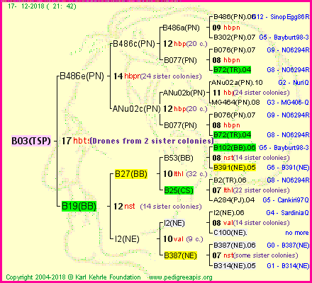 Pedigree of B03(TSP) :
four generations presented
it's temporarily unavailable, sorry!