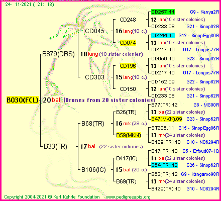 Pedigree of B030(FCL) :
four generations presented
it's temporarily unavailable, sorry!