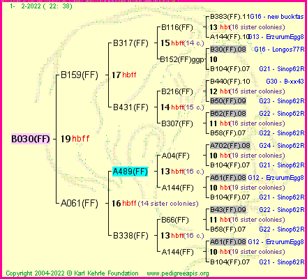 Pedigree of B030(FF) :
four generations presented
it's temporarily unavailable, sorry!