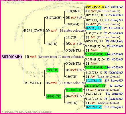 Pedigree of B030(GMH) :
four generations presented