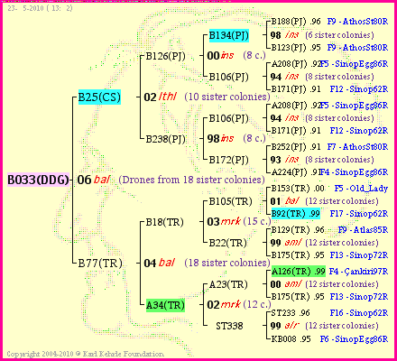 Pedigree of B033(DDG) :
four generations presented