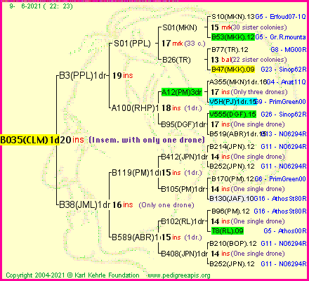 Pedigree of B035(CLM)1dr :
four generations presented
it's temporarily unavailable, sorry!