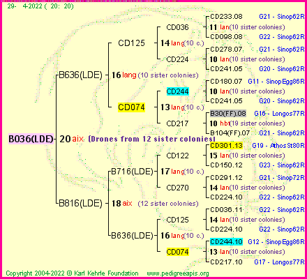 Pedigree of B036(LDE) :
four generations presented
it's temporarily unavailable, sorry!