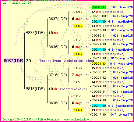 Pedigree of B037(LDE) :
four generations presented
it's temporarily unavailable, sorry!