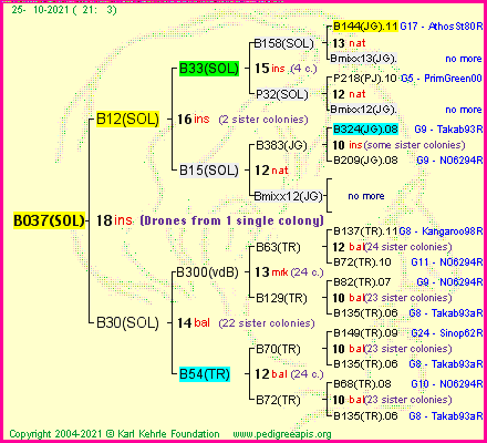 Pedigree of B037(SOL) :
four generations presented
it's temporarily unavailable, sorry!