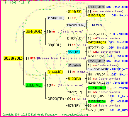 Pedigree of B038(SOL) :
four generations presented
it's temporarily unavailable, sorry!