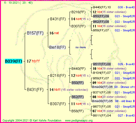 Pedigree of B039(FF) :
four generations presented
it's temporarily unavailable, sorry!