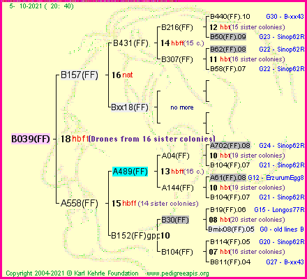 Pedigree of B039(FF) :
four generations presented
it's temporarily unavailable, sorry!