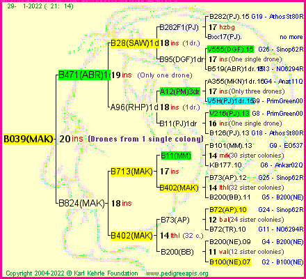 Pedigree of B039(MAK) :
four generations presented
it's temporarily unavailable, sorry!