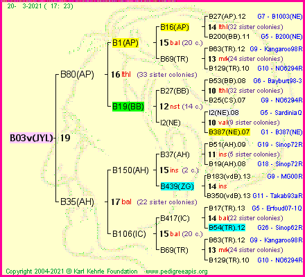 Pedigree of B03v(JYL) :
four generations presented
it's temporarily unavailable, sorry!