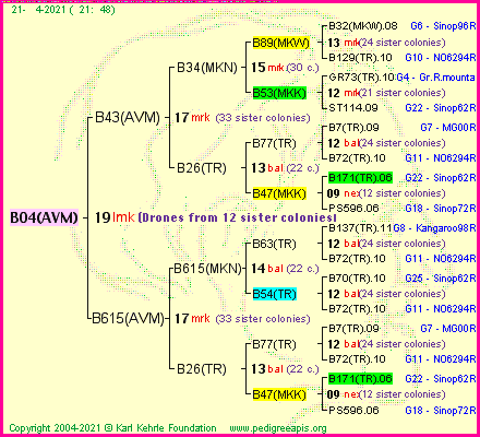 Pedigree of B04(AVM) :
four generations presented
it's temporarily unavailable, sorry!