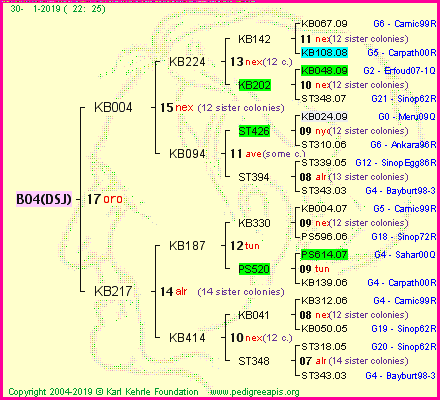 Pedigree of B04(DSJ) :
four generations presented<br />it's temporarily unavailable, sorry!