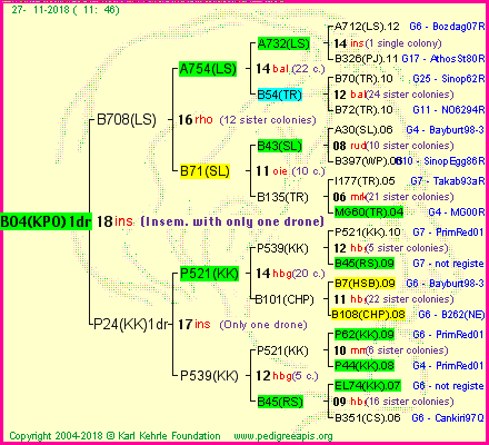 Pedigree of B04(KPO)1dr :
four generations presented<br />it's temporarily unavailable, sorry!