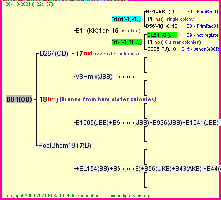 Pedigree of B04(OD) :
four generations presented
it's temporarily unavailable, sorry!