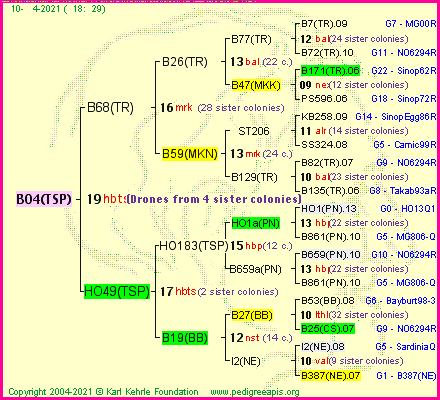 Pedigree of B04(TSP) :
four generations presented
it's temporarily unavailable, sorry!