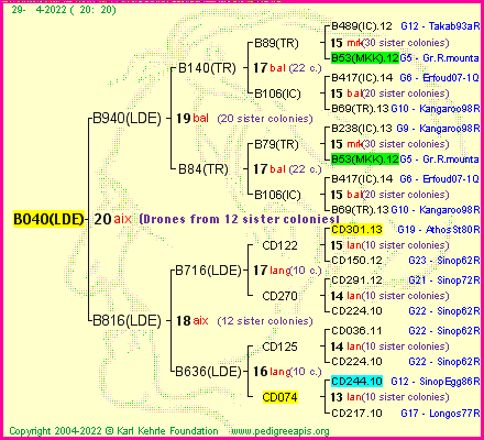 Pedigree of B040(LDE) :
four generations presented
it's temporarily unavailable, sorry!