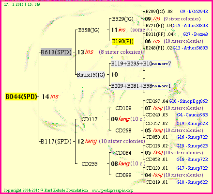 Pedigree of B044(SPD) :
four generations presented<br />it's temporarily unavailable, sorry!