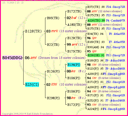 Pedigree of B045(DDG) :
four generations presented