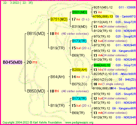 Pedigree of B045(MD) :
four generations presented
it's temporarily unavailable, sorry!