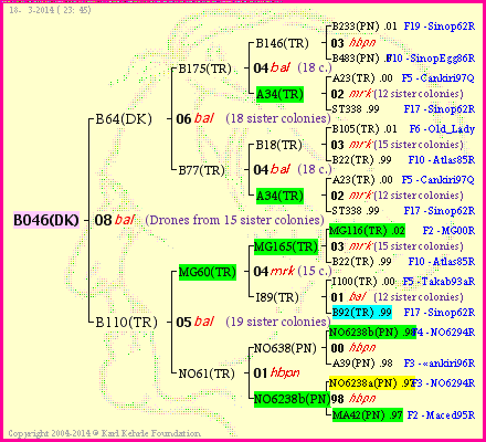 Pedigree of B046(DK) :
four generations presented