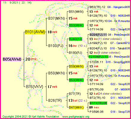 Pedigree of B05(AVM) :
four generations presented
it's temporarily unavailable, sorry!