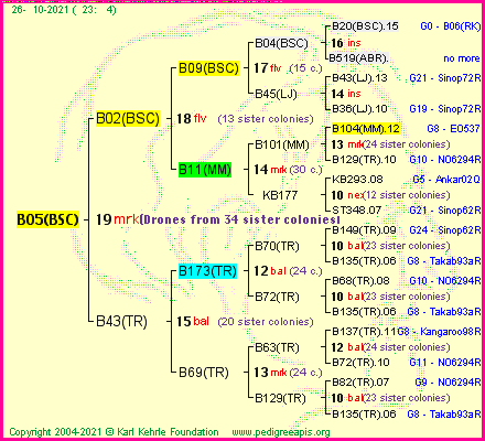 Pedigree of B05(BSC) :
four generations presented
it's temporarily unavailable, sorry!