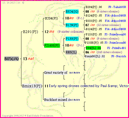 Pedigree of B05(JA) :
four generations presented