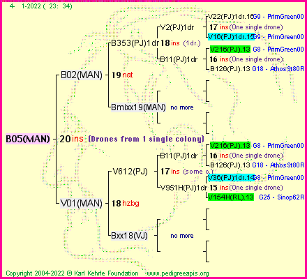 Pedigree of B05(MAN) :
four generations presented
it's temporarily unavailable, sorry!