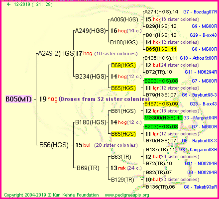 Pedigree of B05(MT) :
four generations presented
it's temporarily unavailable, sorry!