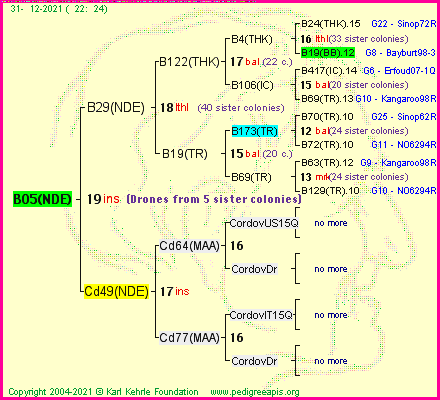 Pedigree of B05(NDE) :
four generations presented
it's temporarily unavailable, sorry!