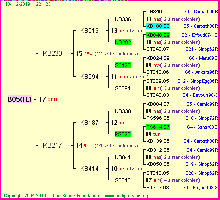 Pedigree of B05(TL) :
four generations presented<br />it's temporarily unavailable, sorry!