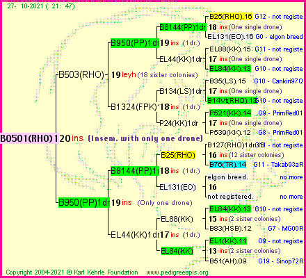 Pedigree of B0501(RHO)1dr :
four generations presented
it's temporarily unavailable, sorry!