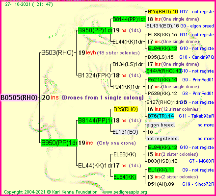 Pedigree of B0505(RHO) :
four generations presented
it's temporarily unavailable, sorry!