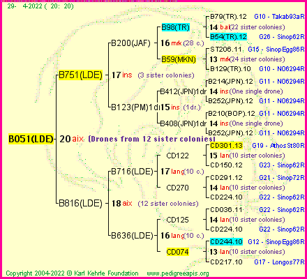 Pedigree of B051(LDE) :
four generations presented
it's temporarily unavailable, sorry!