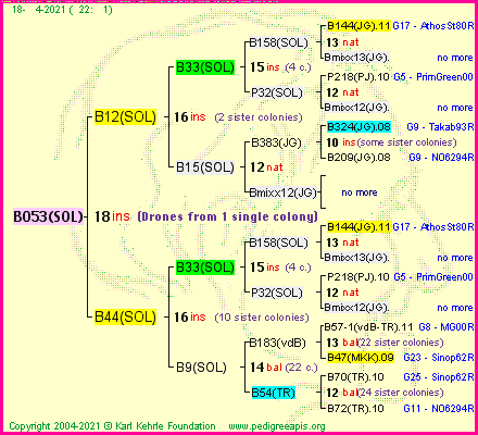 Pedigree of B053(SOL) :
four generations presented
it's temporarily unavailable, sorry!