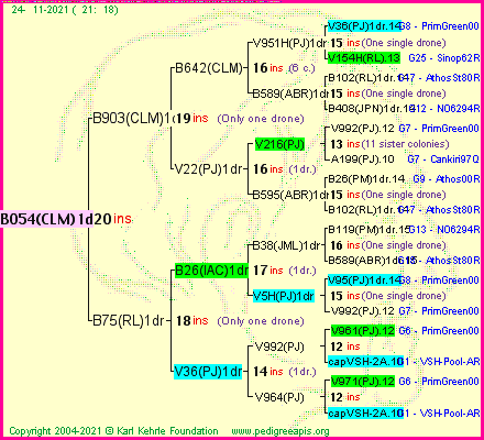 Pedigree of B054(CLM)1dr :
four generations presented
it's temporarily unavailable, sorry!