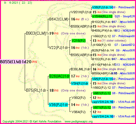 Pedigree of B055(CLM)1dr :
four generations presented
it's temporarily unavailable, sorry!