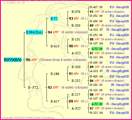 Pedigree of B059(BA) :
four generations presented