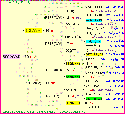 Pedigree of B06(AVM) :
four generations presented
it's temporarily unavailable, sorry!