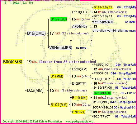 Pedigree of B06(CMB) :
four generations presented
it's temporarily unavailable, sorry!