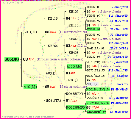 Pedigree of B06(JK) :
four generations presented