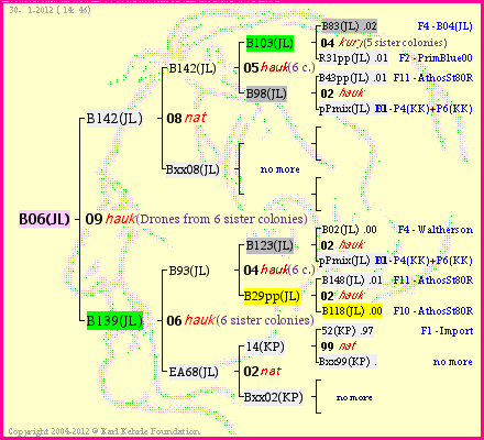 Pedigree of B06(JL) :
four generations presented