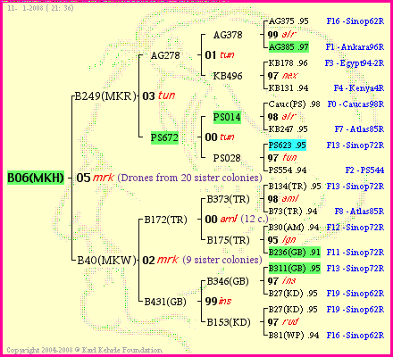 Pedigree of B06(MKH) :
four generations presented