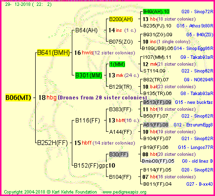 Pedigree of B06(MT) :
four generations presented<br />it's temporarily unavailable, sorry!