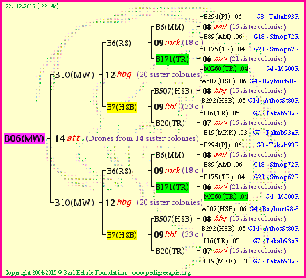 Pedigree of B06(MW) :
four generations presented