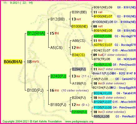 Pedigree of B06(RHA) :
four generations presented
it's temporarily unavailable, sorry!