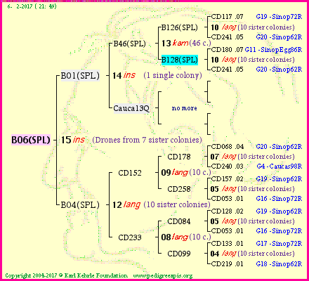 Pedigree of B06(SPL) :
four generations presented
it's temporarily unavailable, sorry!