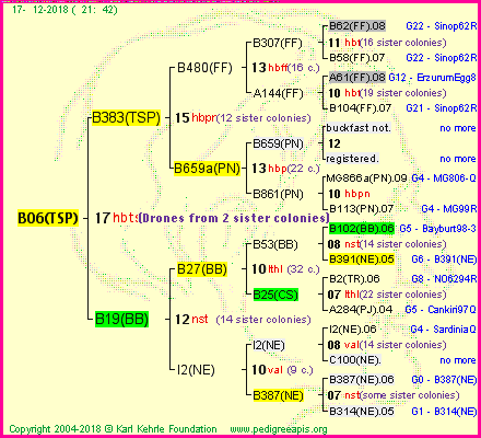 Pedigree of B06(TSP) :
four generations presented<br />it's temporarily unavailable, sorry!